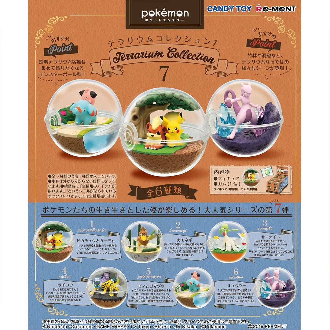 Pokemon terrarium rement new arrivals